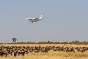 flying safaris