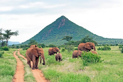 Maasai Mara & Nakuru Safari