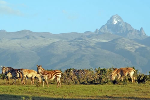 Kenya Lodge Safaris