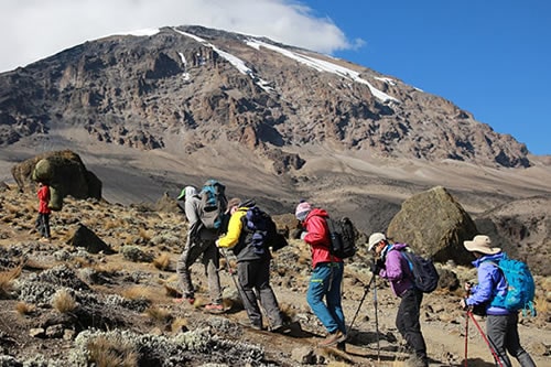 mt Kilimanjaro 