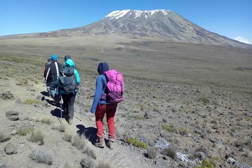 mt Kilimanjaro 