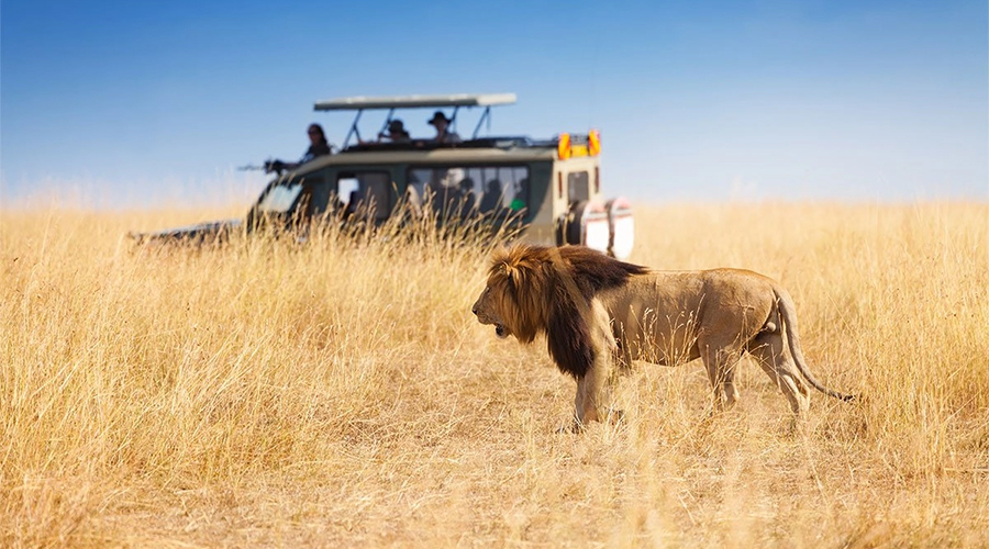 10 DAYS MASAI MARA - LAKE NAKURU - LAKE NAIVASHA - AMBOSELI - TSAVO EAST - TSAVO WEST