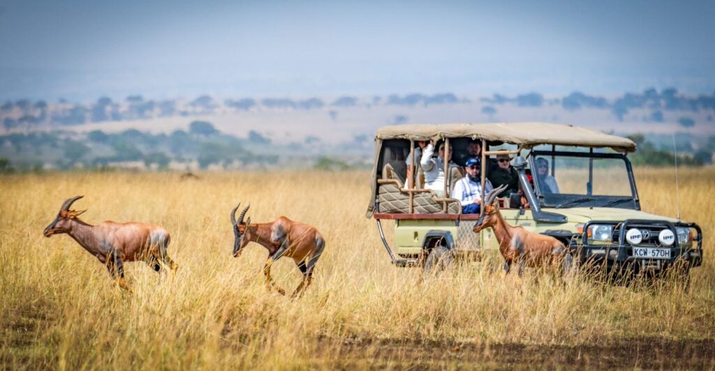 Tourists on an African safari observe antelopes in a scenic grassland setting.